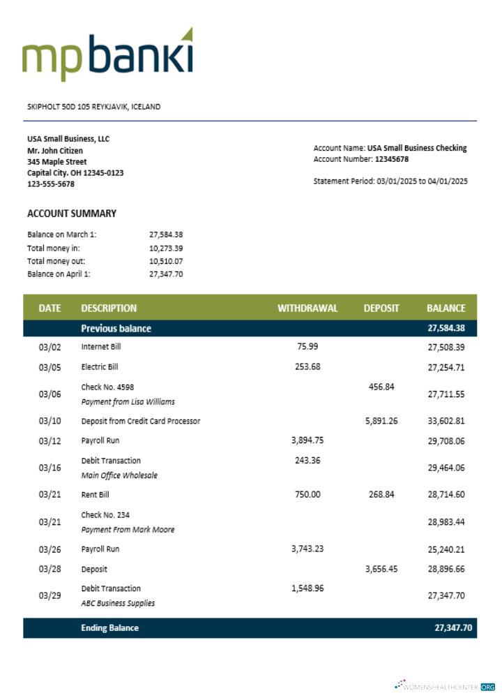 Download MP firm account statement Word and PDF template Photoshop template